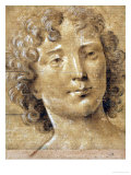 Study of a Man with Long, Curly Hair Wydruk giclee autor Lorenzo di Credi Study of a Man with Long, Curly Hair Wydruk giclee autor Lorenzo di Credi