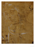Head of a Young Girl, Three Quarters Towards the Left Wydruk giclee autor Lorenzo di Credi Head of a Young Girl, Three Quarters Towards the Left Wydruk giclee autor Lorenzo di Credi