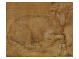 Study of the Head of a Lamb Wydruk giclee autor Lorenzo di Credi Study of the Head of a Lamb Wydruk giclee autor Lorenzo di Credi