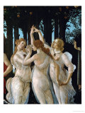 La Primavera, the Three Graces Giclee Print by Sandro Botticelli