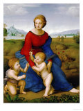 Madonna on the Meadow, 1505 or 1506 Reproduction procédé giclée par Raphael 