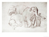 Three Elephants Giclee Print by Rembrandt van Rijn 