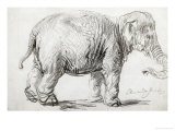 Elephant, 1637, Black Chalk Drawing Giclée-Druck von Rembrandt van Rijn 