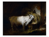 The White Bull in the Stable Reproduction procédé giclée par Jean-Honoré Fragonard