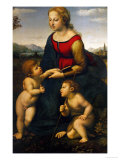 Madonna and Child with St. John the Baptist, 1507 Giclee Print by Raphael 