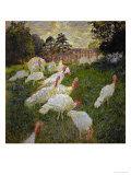 The Turkeys, 1877 Reproduction procédé giclée par Claude Monet