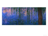 Waterlilies and Willows Reproduction procédé giclée par Claude Monet