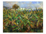 The Banana Plantation, 1881 Reproduction procédé giclée par Pierre-Auguste Renoir