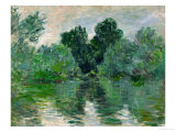 A Branch of the Seine, 1878 reproduction procédé giclée par Claude Monet