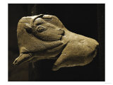 Bison Licking Its Back, Bone Figure from La Madeleine, Dordogne, France Giclee Print