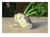 A Celery Root Giclee Print by Odilon Redon