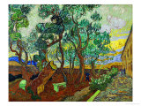 The Garden of St. Paul's Hospital at St. Remy, c.1889 Giclée-Druck von Vincent van Gogh