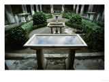 Garden and Peristyle, House of the Vettii, Pompeii, 1st CE Giclee Print