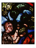 The Discovery of Wine, One of Noah's Sons Cutting a Grape, from the Noah Window, 13th Century reproduction procédé giclée