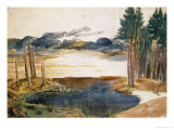 Pond in the Woods reproduction procédé giclée par Albrecht Dürer