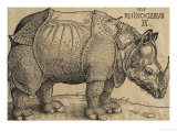 Albrecht Dürer - Rhinoceros, 1515, Etching Digitálně vytištěná reprodukce