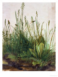 Albrecht Dürer - Large Piece of Turf, 1503 - Giclee Baskı Albrecht Dürer - Large Piece of Turf, 1503 - Giclee Baskı