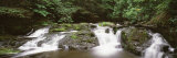 Delaware Water Gap, Dingmans Creek, Pocono, Pennsylvania, USA Lámina fotográfica por Panoramic Images Delaware Water Gap, Dingmans Creek, Pocono, Pennsylvania, USA Lámina fotográfica por Panoramic Images