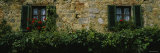 Flowers on a Window, Monteriggioni, Tuscany, Italy Photographic Print by Panoramic Images 