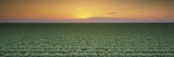Lettuce Field at Sunset, Fresno, San Joaquin Valley, California, USA Lámina fotográfica por Panoramic Images