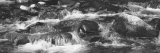 Rapid Stream, Great Smoky Mountains National Park, North Carolina, USA Photographic Print by Panoramic Images 