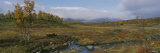Sweden Photographic Print by Panoramic Images 