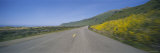 Road on a Hillside, Route 211, Ferndale, California, USA Photographic Print by Panoramic Images 