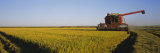Combine in a Rice Field, Glenn County, California, USA Photographic Print by Panoramic Images 