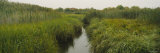 Canal Passing through a Grassy Landscape, Cape Cod Canal, Massachusetts, New England, USA Photographic Print by Panoramic Images 