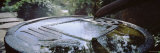 Bird Bath in a Garden Photographie par Panoramic Images 