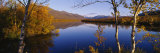 Reflection of Trees and Mountains in a River, Vistas River, Nikkaluokta, Lapland, Sweden Fotografisk tryk af Panoramic Images Reflection of Trees and Mountains in a River, Vistas River, Nikkaluokta, Lapland, Sweden Fotografisk tryk af Panoramic Images
