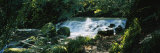 Waterfall in the Forest, Birks O' Aberfeldy, Perthshire, Scotland Photographic Print by Panoramic Images 