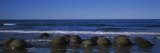 Boulders on the Beach, Moeraki Boulders, Gisborne, South Island, New Zealand Lámina fotográfica por Panoramic Images Boulders on the Beach, Moeraki Boulders, Gisborne, South Island, New Zealand Lámina fotográfica por Panoramic Images