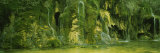 Waterfall, Rio Cuervo, Sierra de Cuenca, Castile, Spain Photographic Print by Panoramic Images 