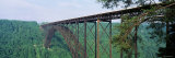 Trees Around New River Gorge Bridge, Route 19, West Virginia, USA Photographic Print by Panoramic Images 