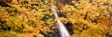 Horsetail Falls, Columbia River Gorge National Scenic Area, USA Photographic Print by Panoramic Images 