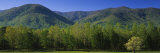 Mountains in a National Park, Great Smoky Mountains National Park, Tennessee, USA Lámina fotográfica por Panoramic Images Mountains in a National Park, Great Smoky Mountains National Park, Tennessee, USA Lámina fotográfica por Panoramic Images