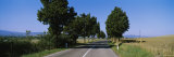 Trees along a Road, Tuscany, Italy Photographic Print by Panoramic Images 