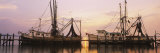 Fishing Boats Moored at a Dock, Amelia River, Amelia Island, Fernandina Beach, Florida, USA Photographic Print by Panoramic Images 