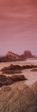 Cliff and Rocks on the Beach, Atlantic Coast, Portugal Photographic Print by Panoramic Images 