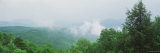 Fog Over a Forest, Great Smoky Mountain National Park, North Carolina, USA Lámina fotográfica por Panoramic Images Fog Over a Forest, Great Smoky Mountain National Park, North Carolina, USA Lámina fotográfica por Panoramic Images