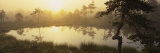 Reflection of Trees in a Lake, Vastmanland, Sweden Photographic Print by Panoramic Images 