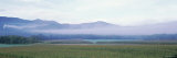 Cornfield, Stowe, Vermont, New England, USA Lámina fotográfica por Panoramic Images