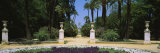 Trees in a Garden, Murillo Gardens, Seville, Spain Photographic Print by Panoramic Images Trees in a Garden, Murillo Gardens, Seville, Spain Photographic Print by Panoramic Images