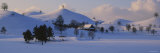 Trees on a Snow Covered Landscape, Canton of Zug, Switzerland Lámina fotográfica por Panoramic Images Trees on a Snow Covered Landscape, Canton of Zug, Switzerland Lámina fotográfica por Panoramic Images