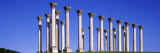 National Capitol Columns, National Arboretum, Washington D.C., USA Photographic Print by Panoramic Images