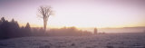 Mist at Dawn, Craftsbury, Vermont, USA Photographic Print by Panoramic Images 