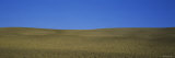 Horizon over Empty Farmland, Tuscany, Italy Photographic Print by Panoramic Images 