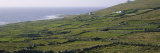 Field, Donegal, Republic of Ireland Photographic Print by Panoramic Images 