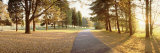 Autumn Trees along a Road, Middleburg, Virginia, USA Photographic Print by Panoramic Images 